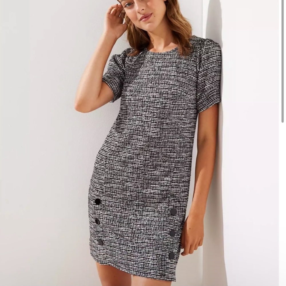LOFT Size 4 Black and White Tweed Dress with Buttons